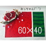 ★(^.^)60×40•おっきな赤いスイカ🍉•お弁当・給食袋&ランチョンマット★楽しいランチタイムを♪