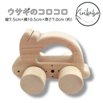 かわいいうさぎのコロコロ