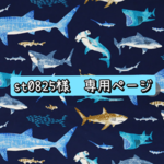 【st0825様　専用】ノコギリザメ帽子