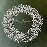 🎵レースフラワー 40 ＊ 押し花