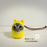 だるま猫ちゃん☆アメショ