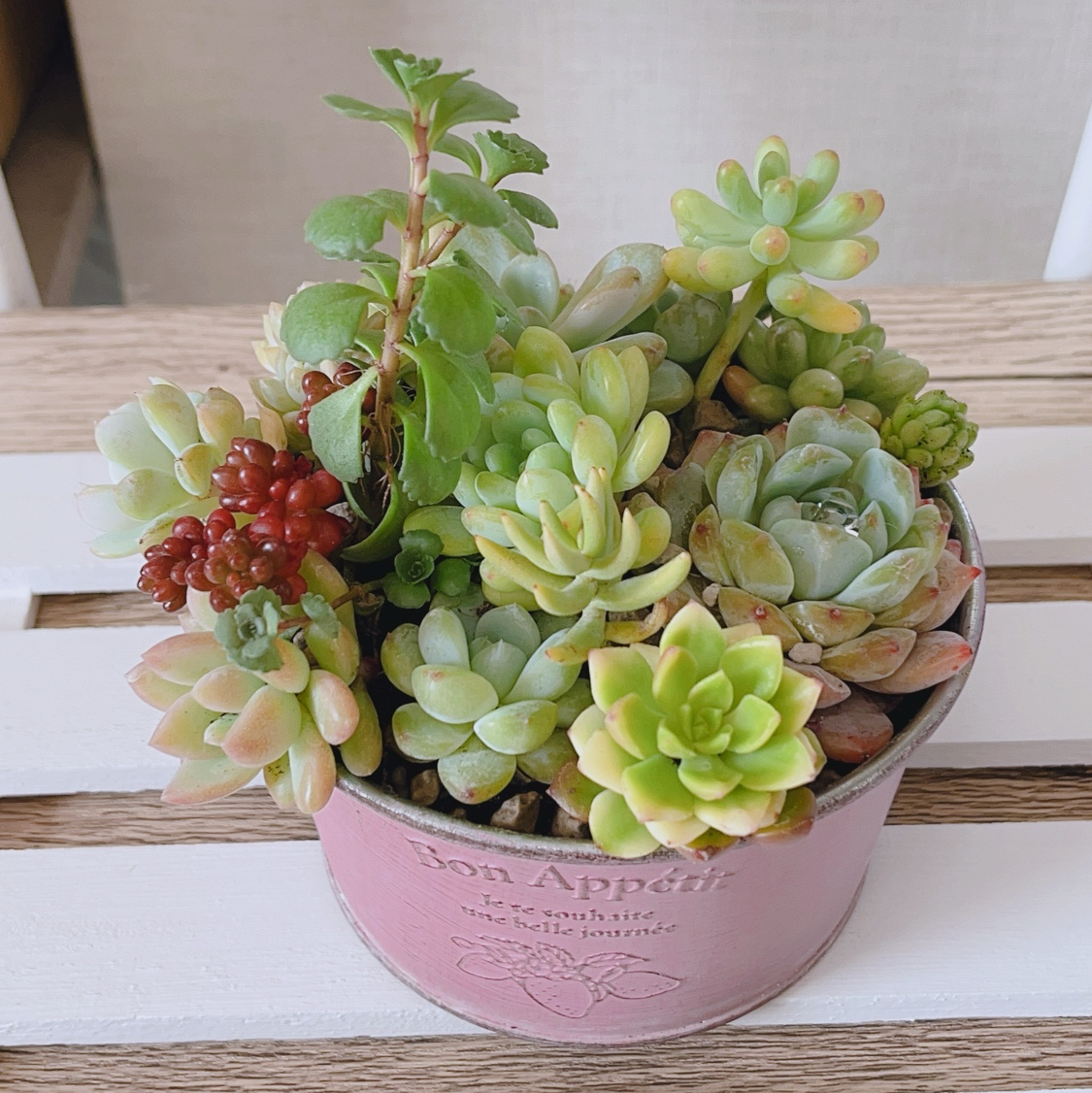 プランター・植木鉢の人気通販 | minne byGMOペパボ 国内最大級の