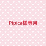 Pipica様専用（組立式ディスプレイ棚）