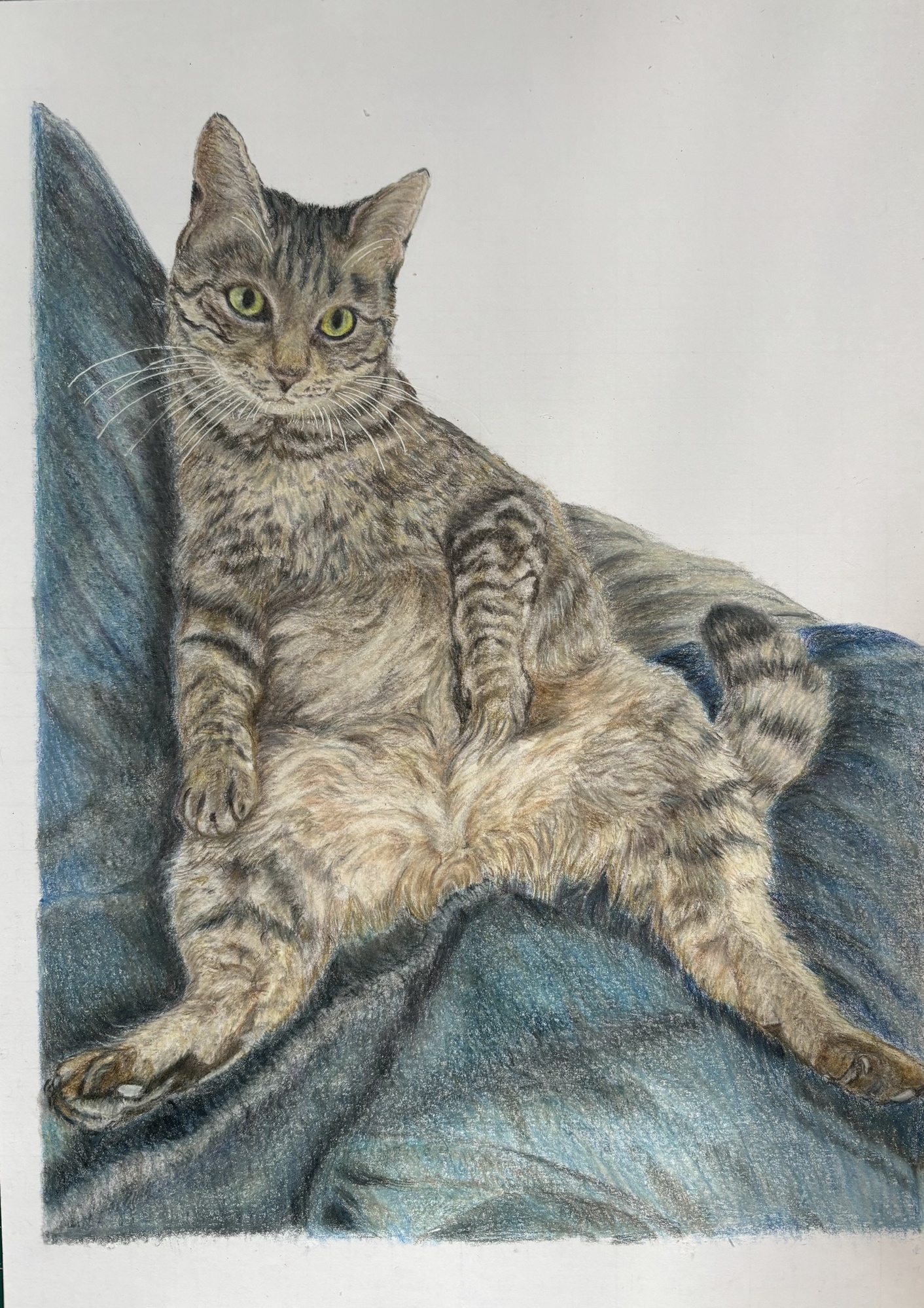 ペットの色鉛筆画