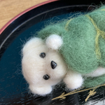 羊毛フェルトのマルチーズちゃん　柏餅のお布団💕