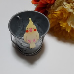 *kometto様*オカメインコのピンバッチ