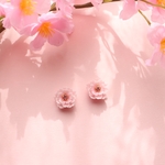 コロンと八重桜
