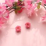 コロンと桃の花