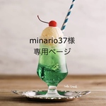 ホイップデコ クレープ 硬質ケース A6