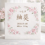 命名書.刺繍命名書.絵本のような可愛いデザイン.お七夜.名入れギフト.ベビーギフト.初節句.お花.オーダーメイド.出産.記念. 手刺繍ネームボード ニューボンフォト お七夜に間に合う  春生まれ 
