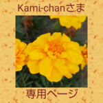 🍀Kami-chanさま専用ページ🍀