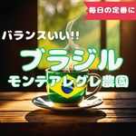 自家焙煎 コーヒー豆 コスタリカ ガンボア農園 シダモ ホワイトハニー 焙煎したて 個包装 (100g) 