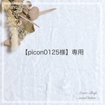 【picon0125様】専用