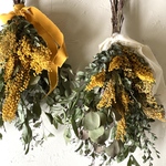 ★ミモザとユーカリのスワッグ★45cm★ミモザスワッグ