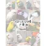 rapi0225様ご専用　シロハラインコ　バードスーツ