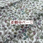 専用ページ【差額分】