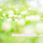 EmmaRion様専用カート