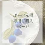 ぷーぺん様　ご購入専用ページ