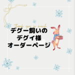 お薬袋チャーム【うちの子処方箋】デグーver.