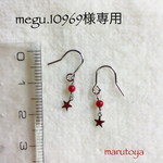 megu.10969様専用 small パーツの ピアス
