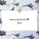 maruchann520様専用【レッスンバッグ/体操着袋/着替え袋/靴入れ/巾着/ランチョンマットなど】オーダー