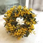 『限定1点』春の訪れを告げる真珠葉ミモザとユーカリのリース　20cm