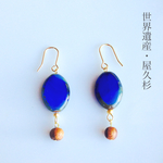 《世界遺産》屋久杉wood pierce 2