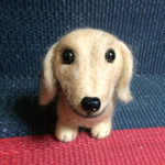 手のりミニチュアダックス