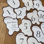 韓国風ウェーブ マンスリーカード③-月齢カード 月齢フォト