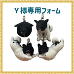 Ｙ様専用フォームです
