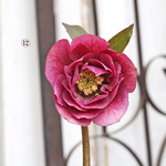 🌷鉢花 クリスマスローズ 八重咲き ４号 ホワイト ピンク ピコティ ダークレッド クリーム 冬の花 多年草 華やか 人気 プレゼント 丈夫