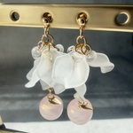 〈期間限定〉春色りんご