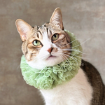 シルバーグリーン チュチュ首輪 💚 くすみグリーンのふわふわピエロ襟 抹茶色