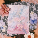 化粧桜／アクリル画