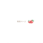 専用ページ🍓