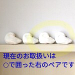 白鳥の休眠　50219
