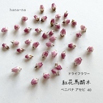 🌸ベニバナアセビ 40　＊ ドライフラワー