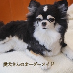 【うちの子オーダー】リアル　愛犬さんのオーダー　羊毛フェルトオーダー　犬　置物　ペット　オーダーメイド犬　ペットロス　チワワ　トイプードル　ダックス　ポメラニアン パピヨン　baophouc