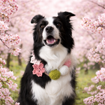 桜と三色団子のお花見ネックレス　ワンコ用