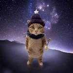 no.415 星の使いの猫さん