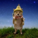 no.416 星の使いの茶猫さん