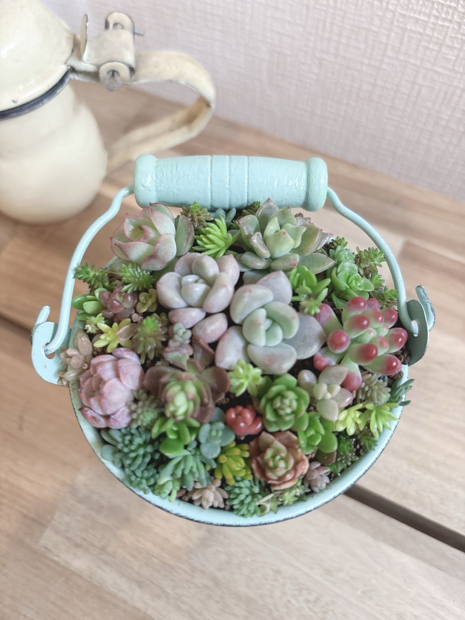 多肉植物寄せ植え - 122KAIAYU'S GALLERY | minne byGMOペパボ 国内