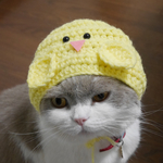 🐥ひよこ