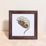 刺繍絵　カメレオンモドキ