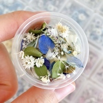 ドライフラワーの花びらミックス