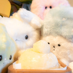 ほしのこ