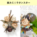 星の角が齧りやすい！紙カミ☆ラタンスター