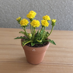 たんぽぽ　注文受付賜ります
