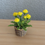 春のたんぽぽ　1