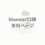 【bluestar22様 専用ページ】